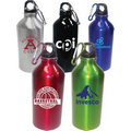 16oz. Stainless Steel Bottle